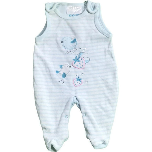 Strampler mit Vöglein und Erdbeeren - Emily's Wunderlädchen Baby- und Kindersecondhand